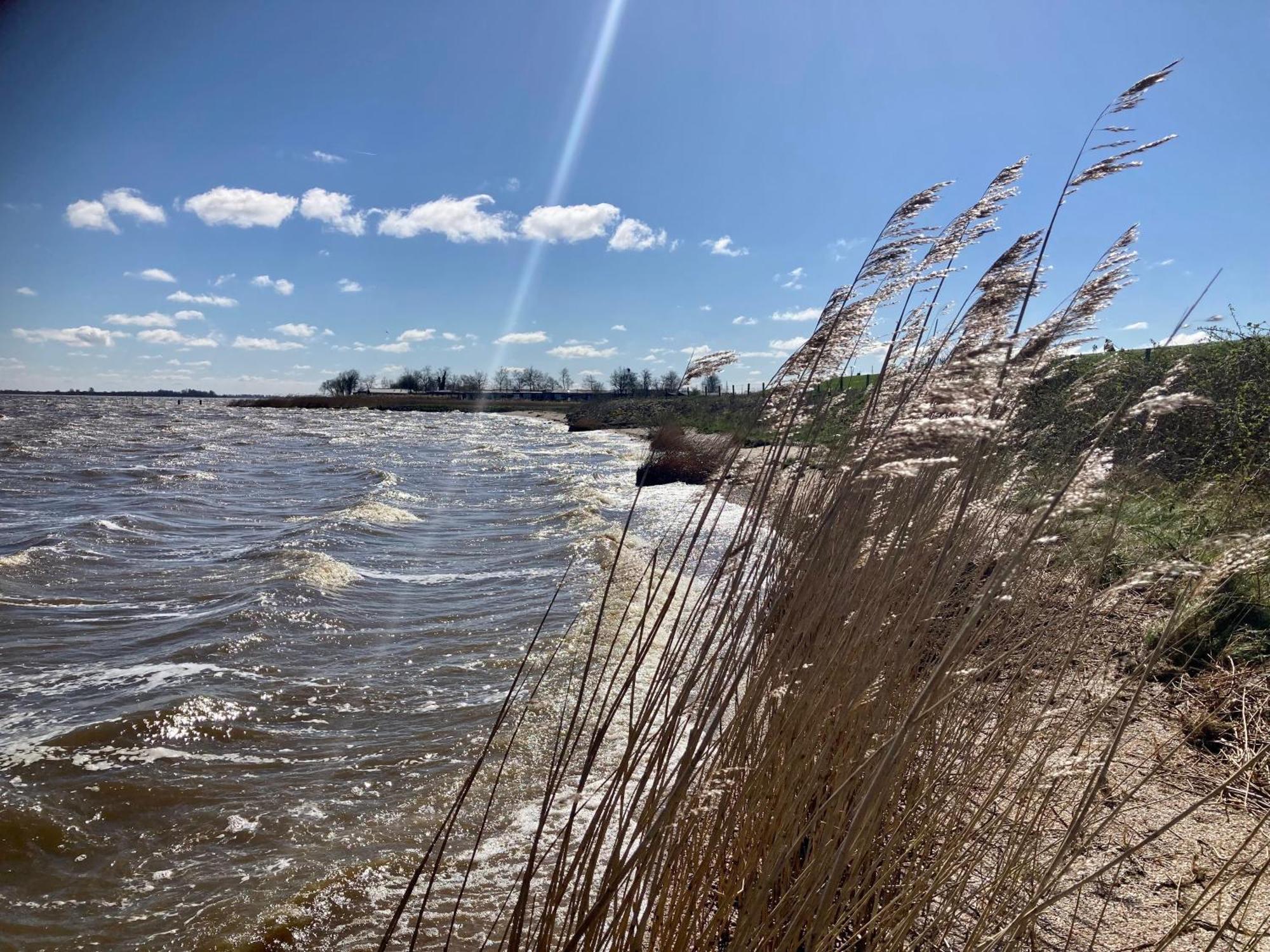 Haus Gaby Direkt Am Lauwersmeer Anjum 外观 照片